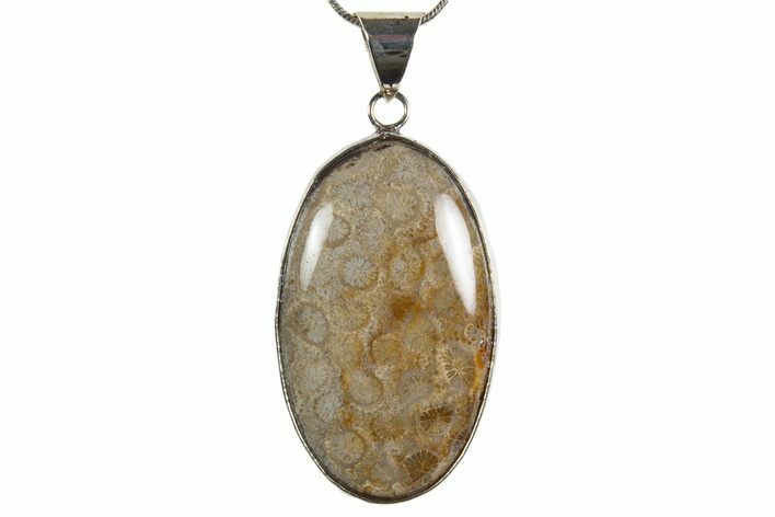 Polished Indonesian Fossil Coral Pendant (Necklace) #345301